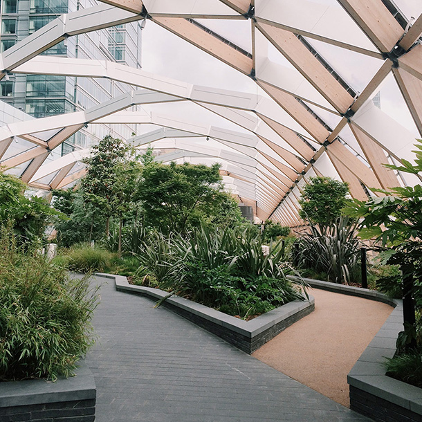 Landscaping