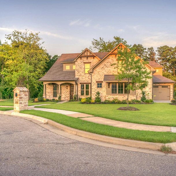 Natural & Artificial Lawn